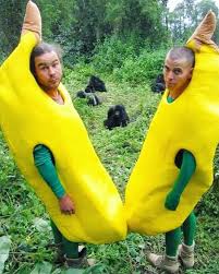 Steve-O - Dressed up as bananas in front of legitimately wild ...